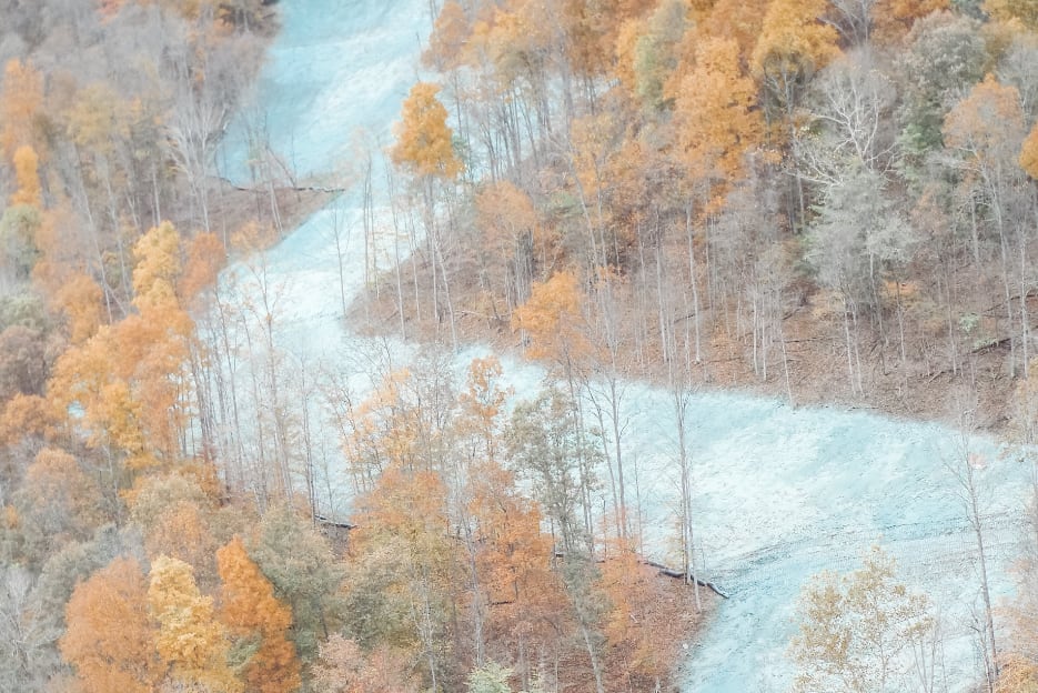 Hydroseeding Image